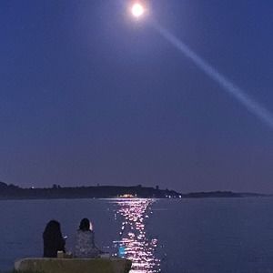 Meet your Posher, Jane